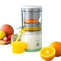 Fruta Naranja NARF019