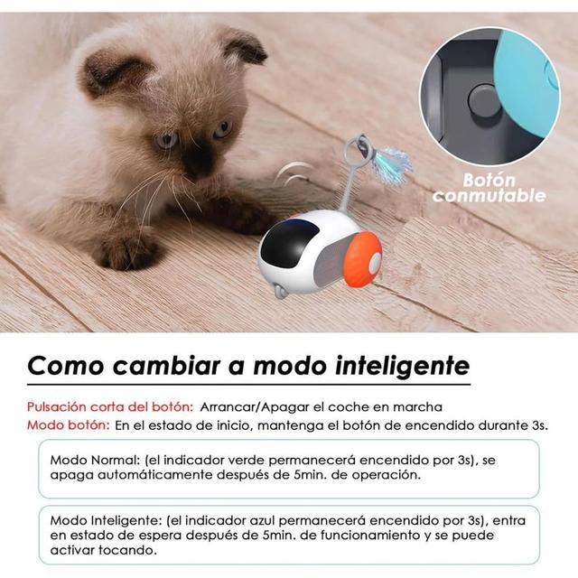 image-0